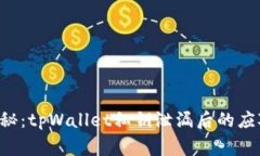 专家揭秘：tpWallet私钥泄漏